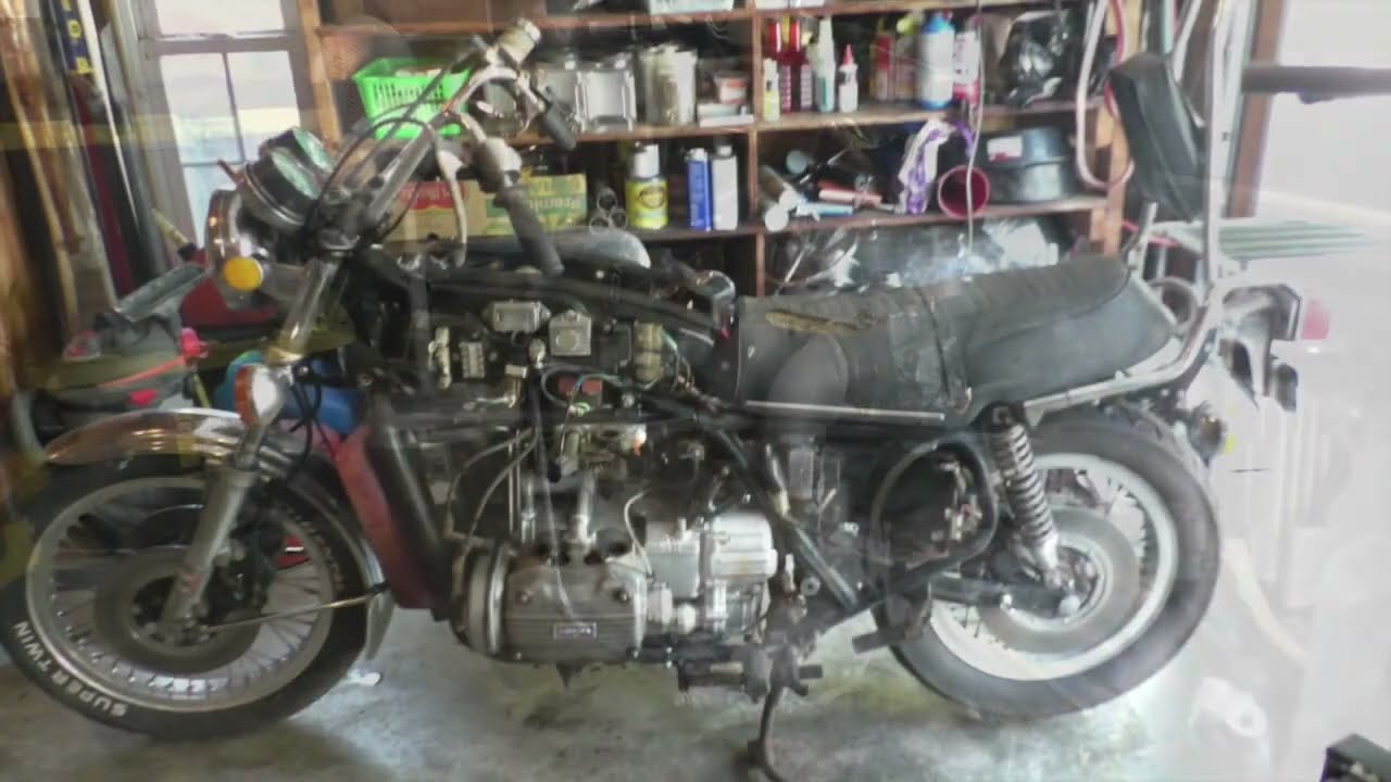 I Rescued Another 75
