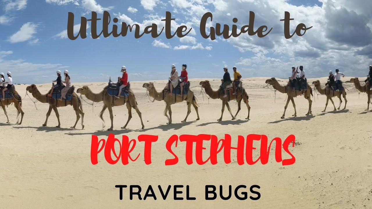 Top 10 Things to do in Port Stephens | Travel Bugs