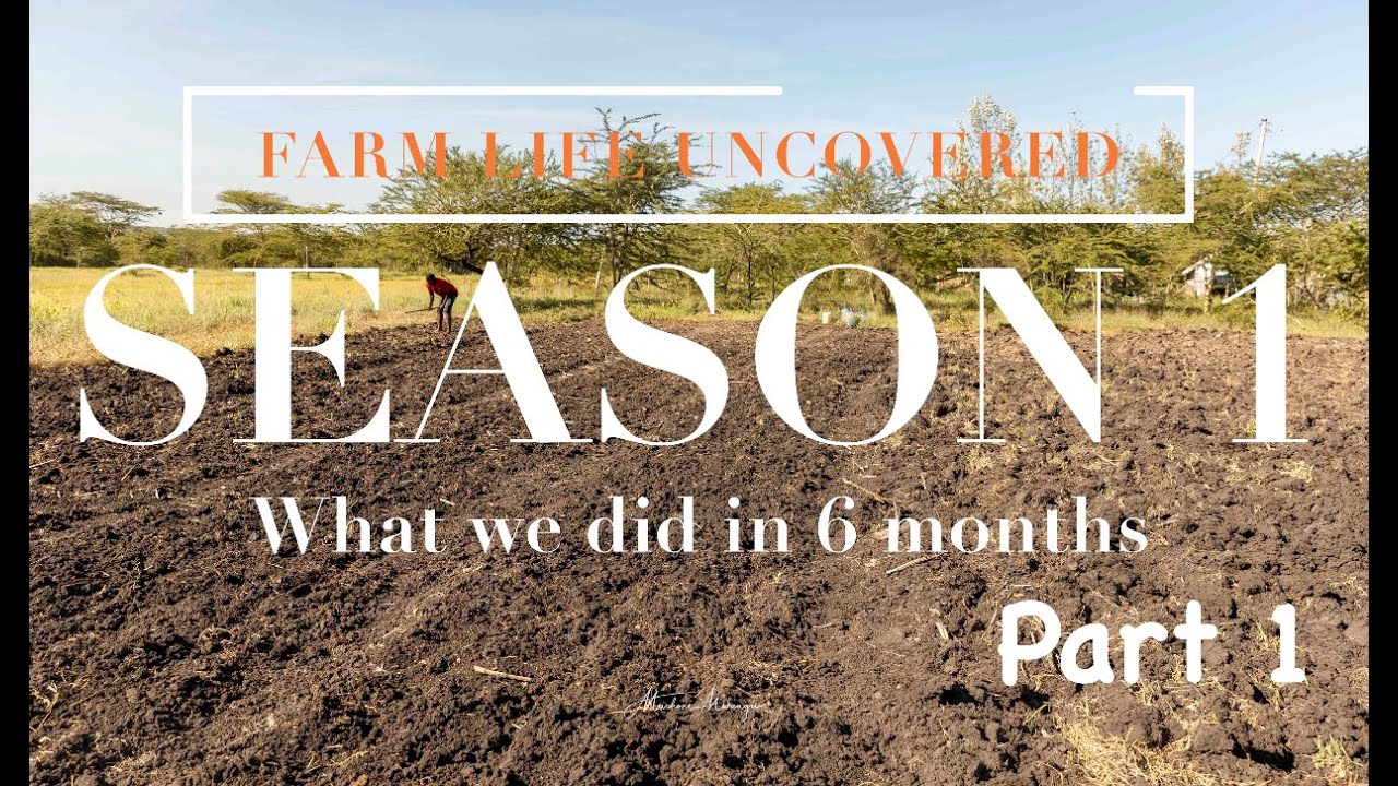 A Beginner Farmer's Journey. What we did in 6 months #farming #Newfarminghorizons #farmlifeuncovered