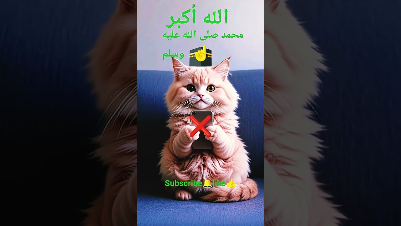 #пророкмухаммадﷺ #рамадан #allah #sunnah #cat #allahuakbar #islam #islamicvideo #iran #islamicstatus