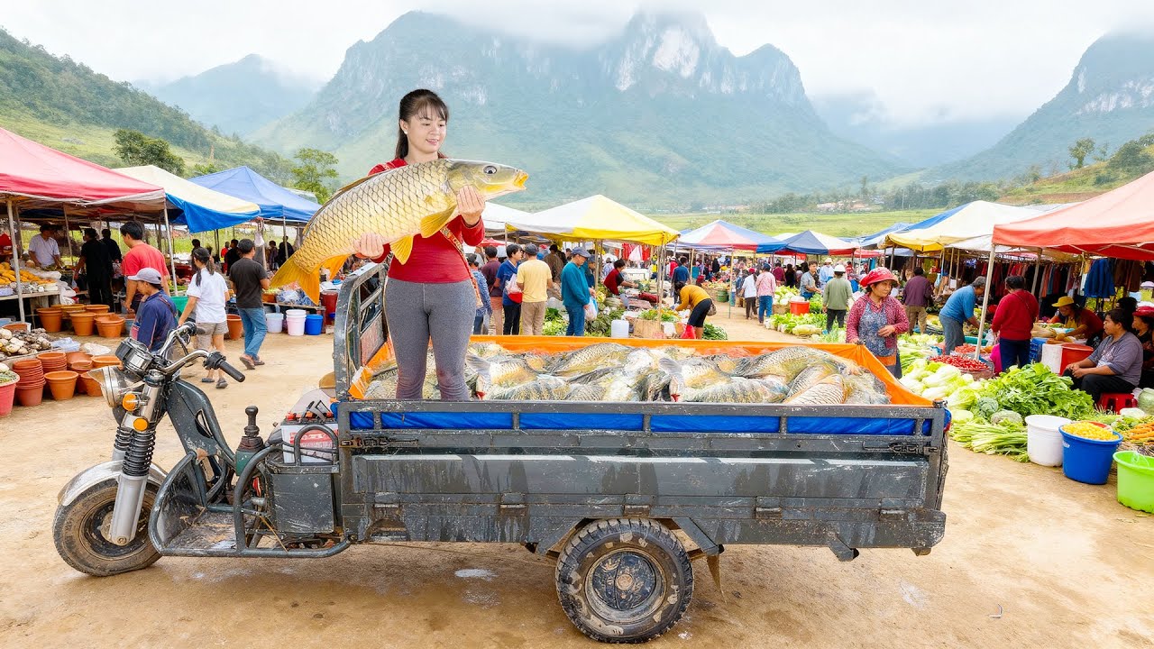 Harvesting Many Big Carp Fish, Use 3-Wheeled Truck Transport Fish Goes To Market Sell