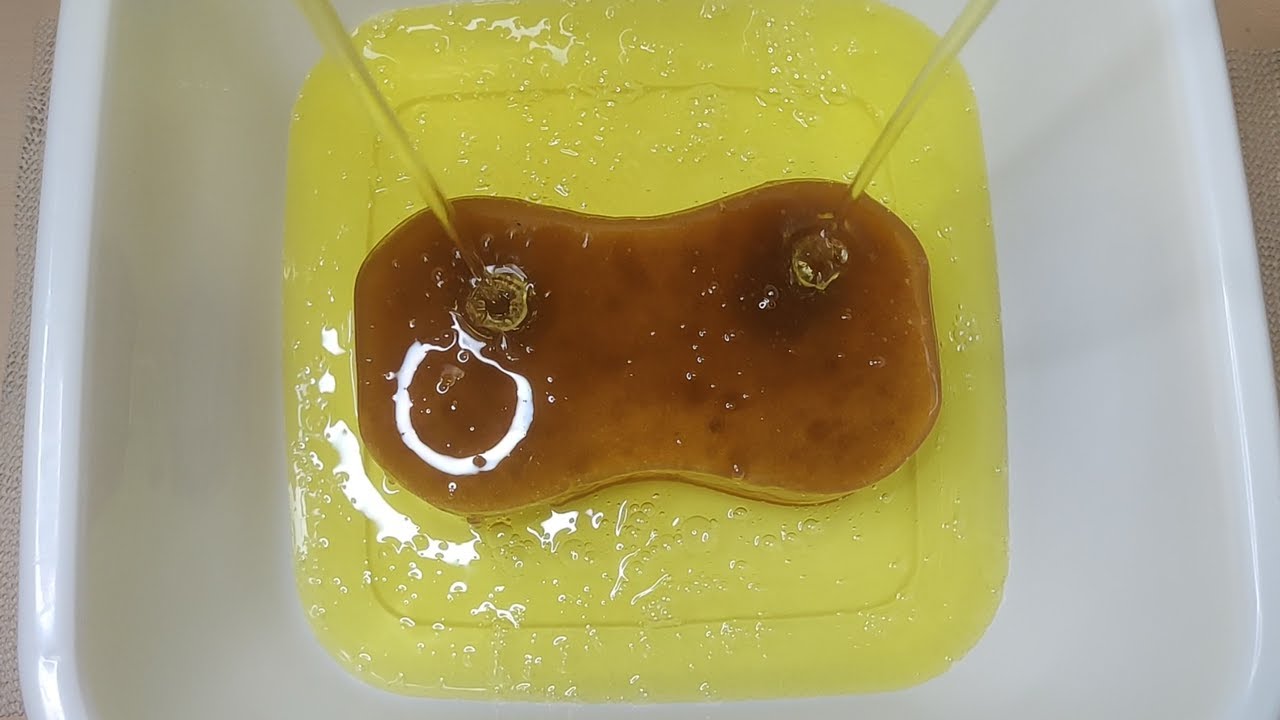 ASMR Sponge Squeeze - 2L of New Dishsoap
