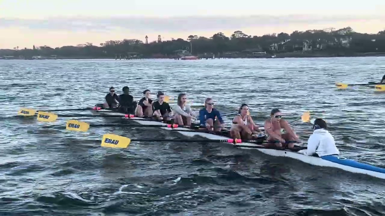 4x10’ - 03/02/26