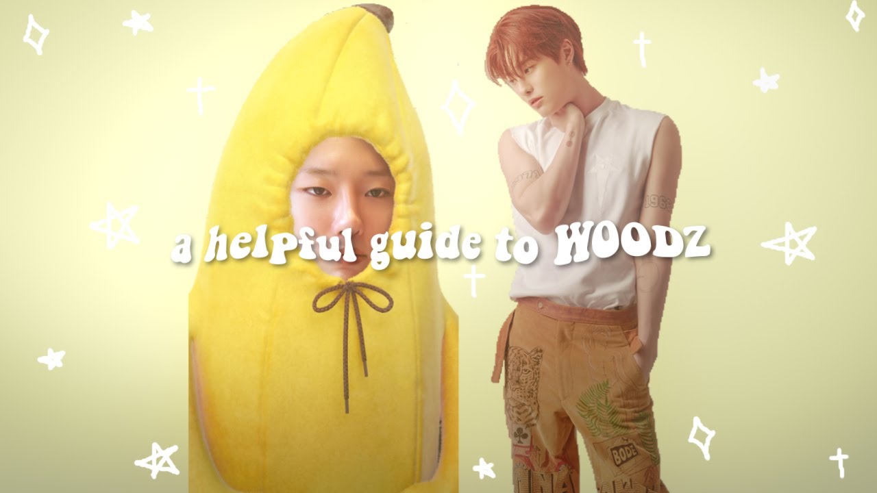 a helpful guide to WOODZ (2025)