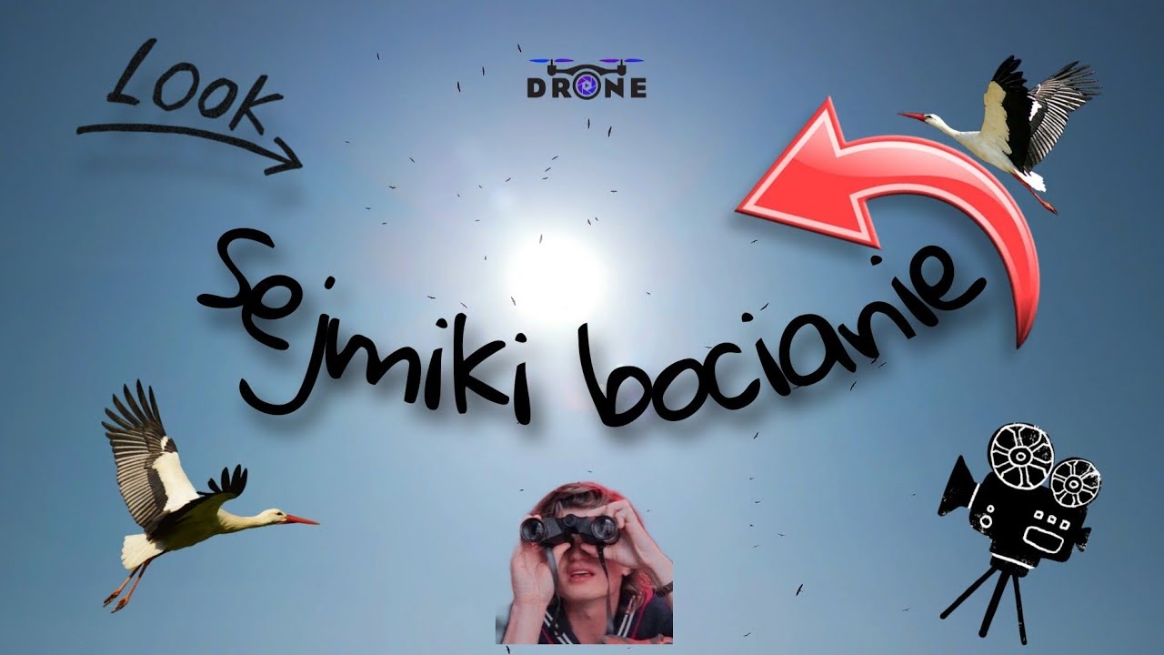 Sejmiki bocianie lipiec 2023, stork assemblies July 2023 #love #drone #poland #birds #wildlife