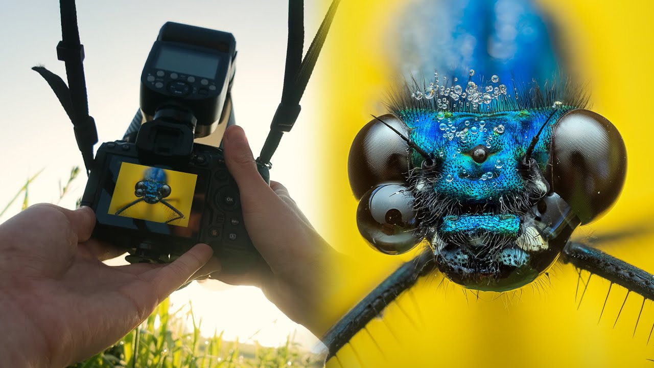 15 Minutes of POV Macro Photography