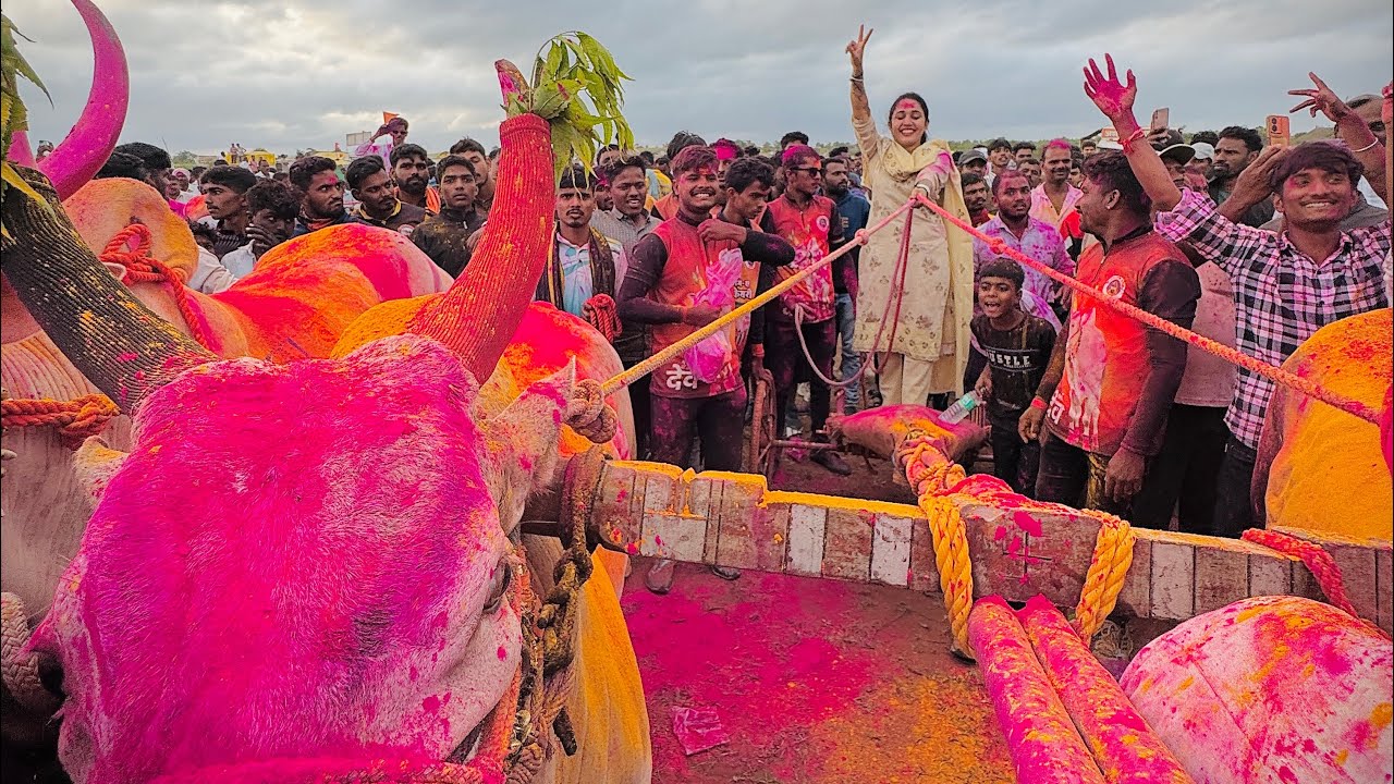 सोन्याचा शिष्य बकासूर ने एक नंबर केल्यानंतर सोन्याला घेऊन केला जोरात जल्लोष 😎🔥😍❤️