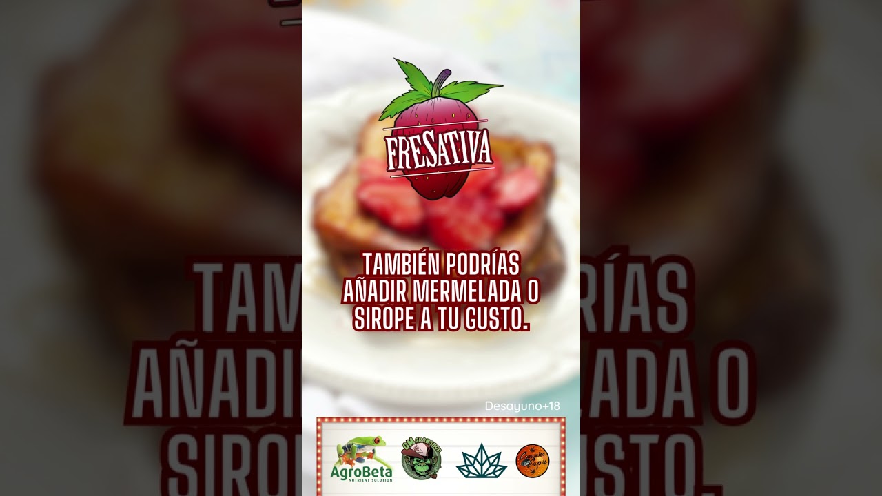 TOSTADAS FRANCESAS CON MANTEQUILLA M&Aacute;GICA✨💚