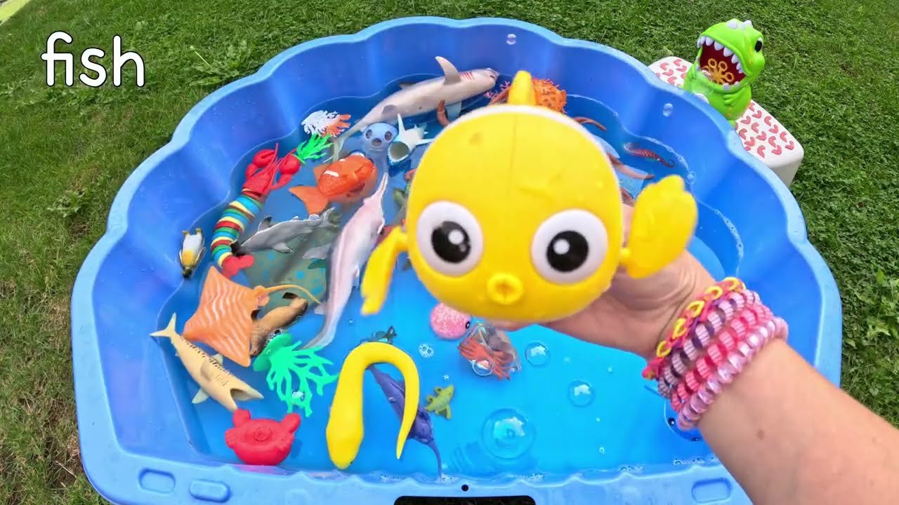 Learn Sea Animal Names: Puffer Fish Great White Shark Jellyfish | Preschoolers Kids