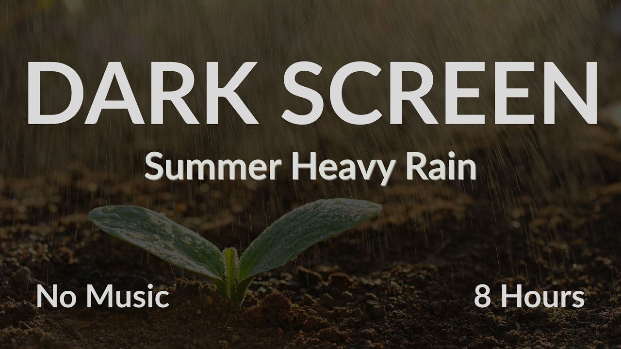 Summer Heavy Rain | Black Screen | 8 Hours | No Music