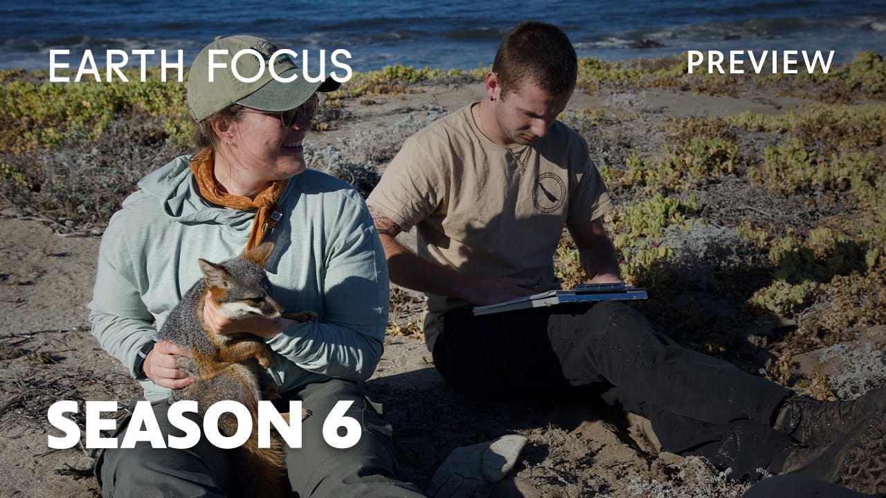 Earth Focus Season 6 (Preview)