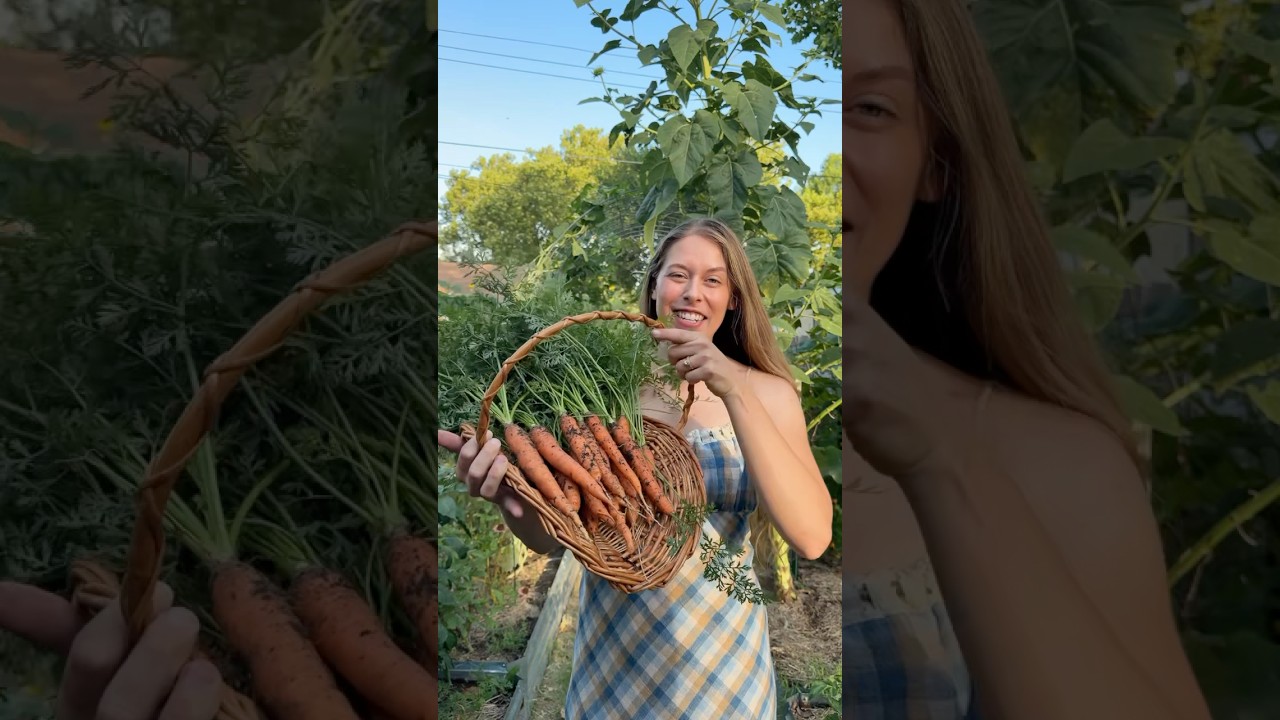 End Of July Garden Harvest! #harvest #homegrown #gardening