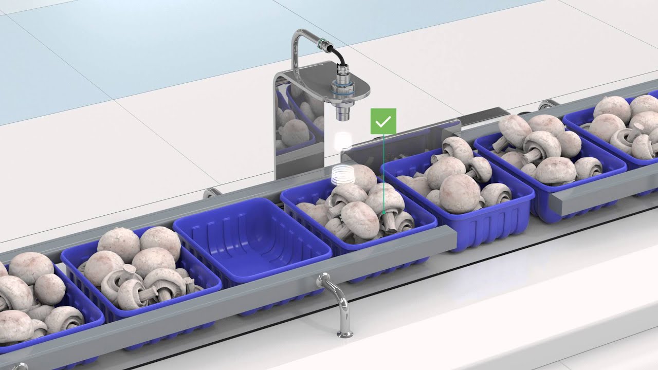 UMB800—The All Stainless Steel Ultrasonic Sensor