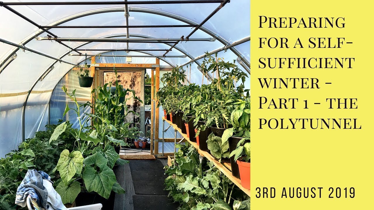 Preparing for a self-sufficient winter - Part 1 - The Polytunnel