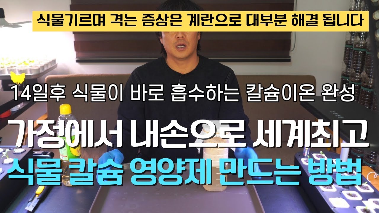 171. 달걀껍질로 식물이 즉시 흡수 하는 칼슘이온 만드는 간단한 방법입니다