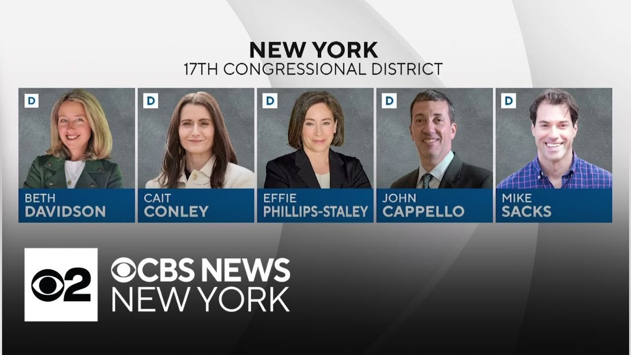 Democrats have 5 candidates in primary vying for shot to take on Rep. Lawler in NY-17 race