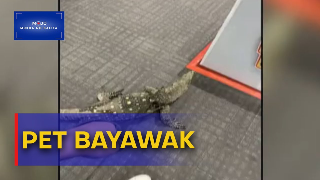 Lalaki sa Davao City, ipinapasyal ang alagang bayawak | Mukha ng Balita 