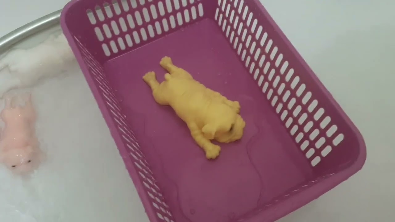 Купаю Сквиши Собак в Ванной!🛀🧼🧽