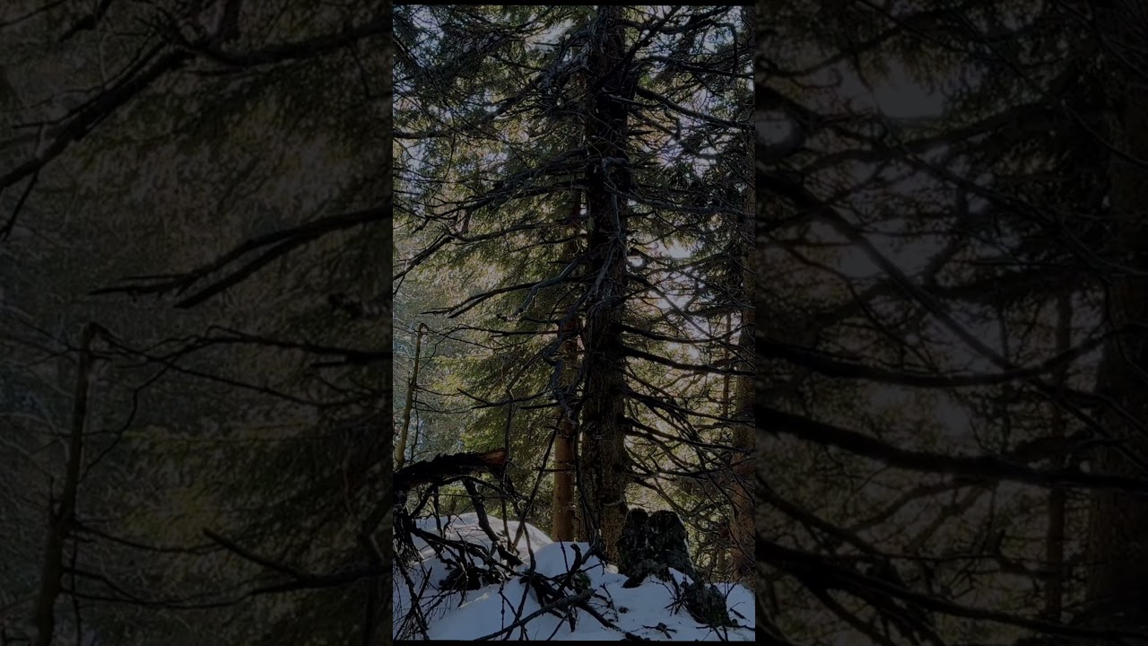 Snow was melting - 3Hours Nature Sounds Video on my channel 