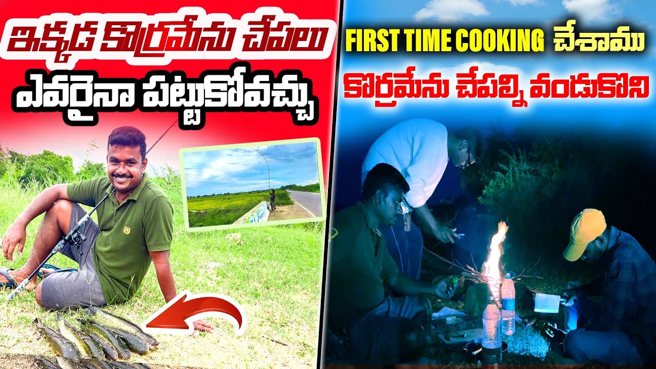 ఇక్కడ కొర్రమేను చేపలు ఎవరైనా పట్టుకోవచ్చు Best Snakehead Fishing First Time Cooking చేశాము mama bros