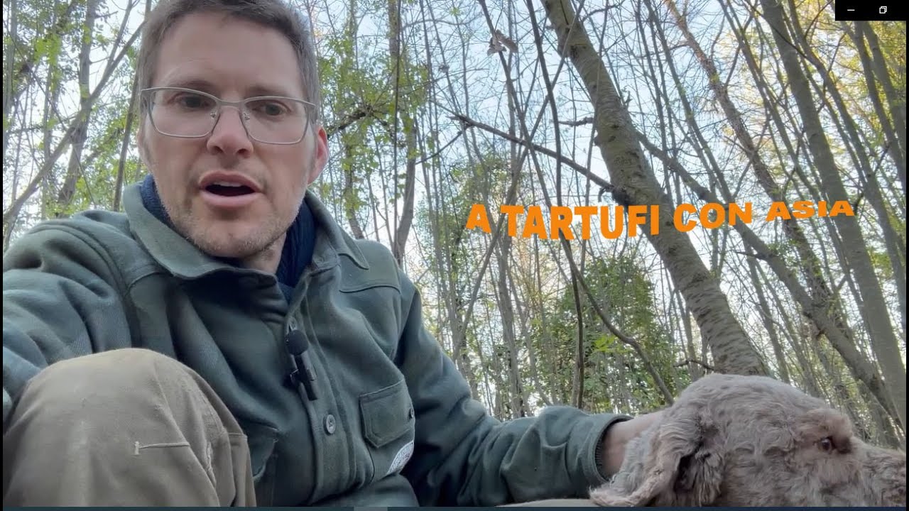 TARTUFI, ALLA RICERCA DEL TARTUFO BIANCHETTO