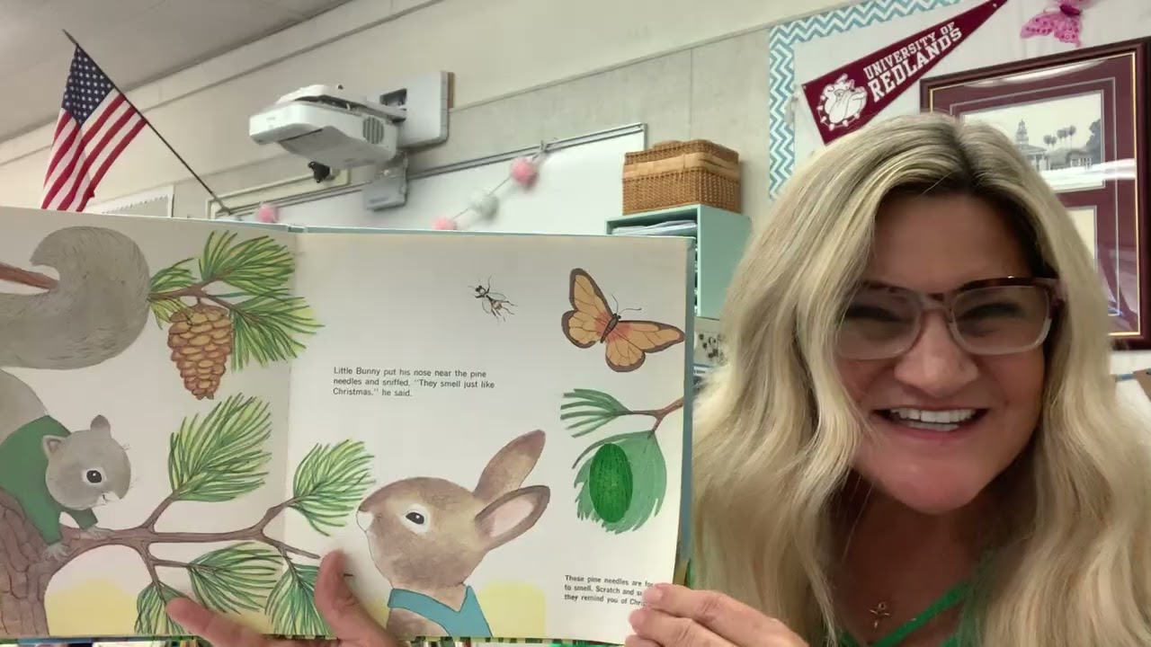 Little Bunny Follows His Nose (spring story 🌼) @Mrs.Landsstories