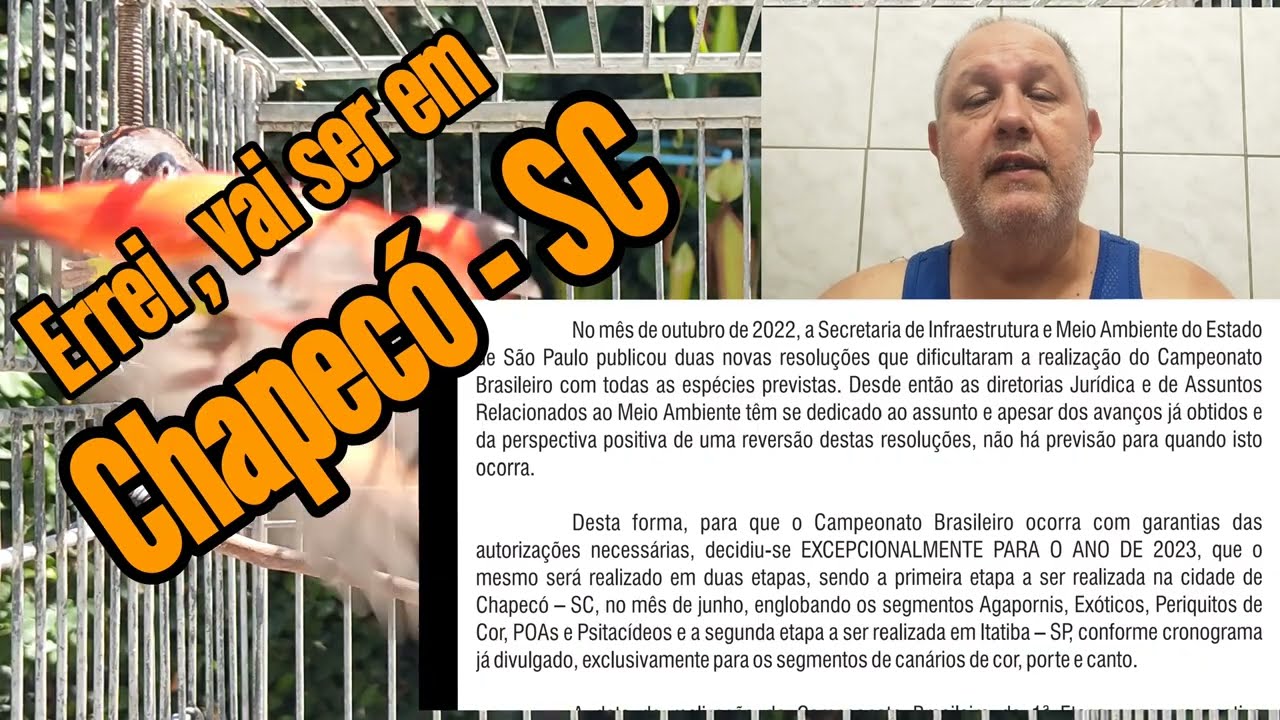 PINTASSILGO DA VENEZUELA – QUAL É A ÉPOCA DE CRIAÇÃO DOS TARINS. #pintassilgodavenezuela #tarim