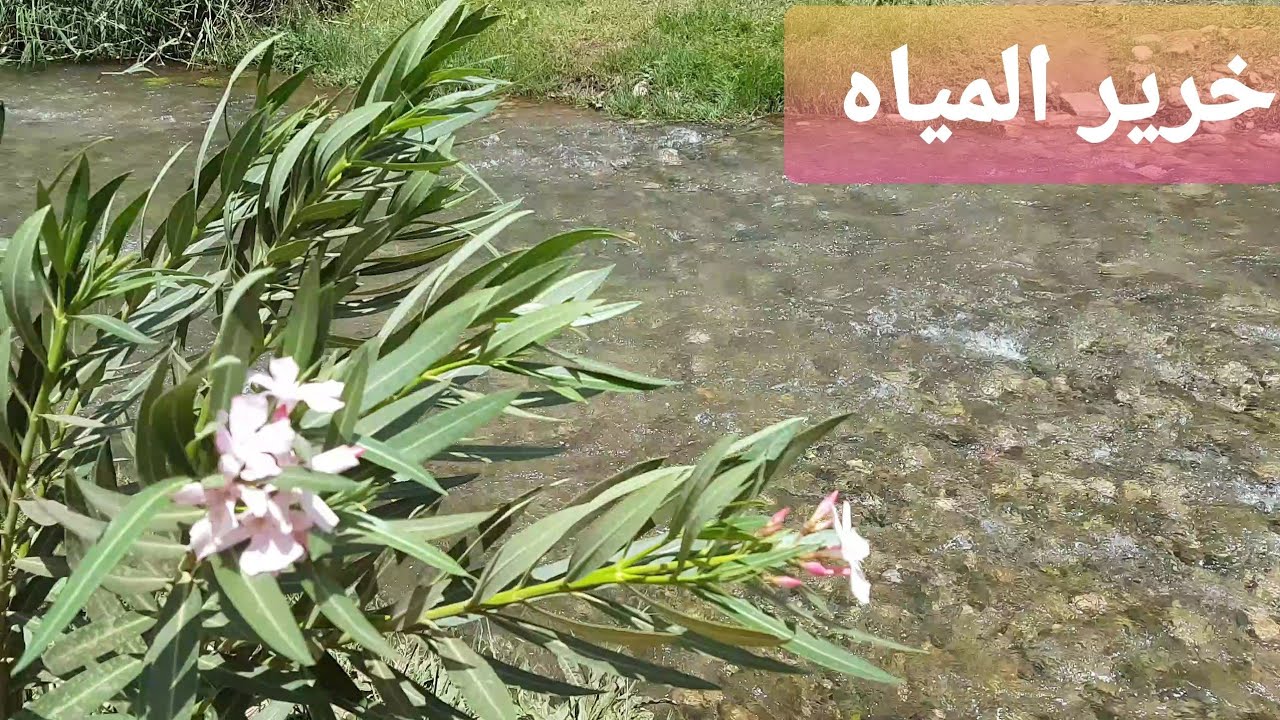 صوت المياه من تصويري الخاص