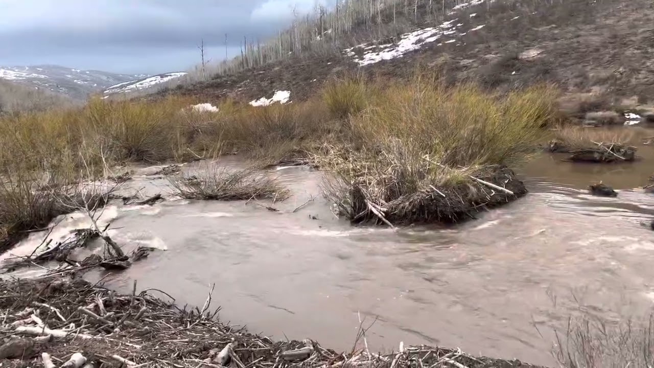 Flooding in Utah. Monte Cristo to Beaver Creek to a full Causey reservoir towards Pineview. 5/14/23