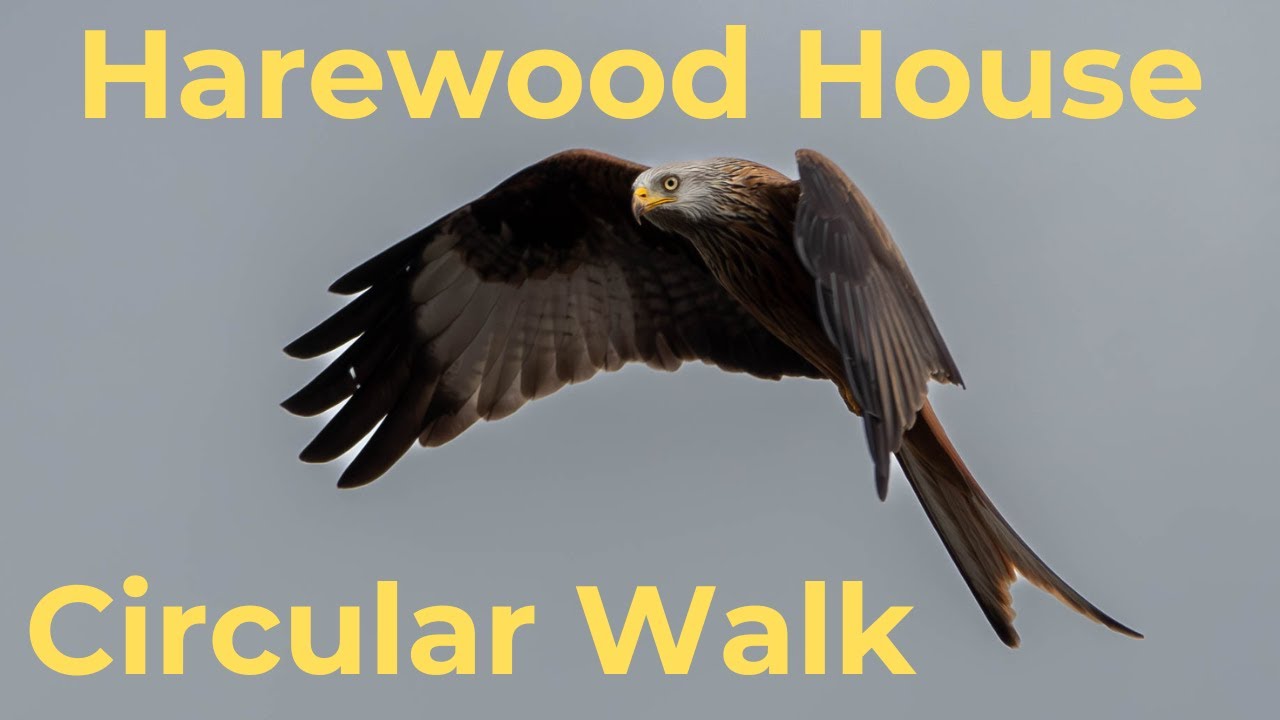 Harewood House Circular Walk & Wildlife Photography Challenge