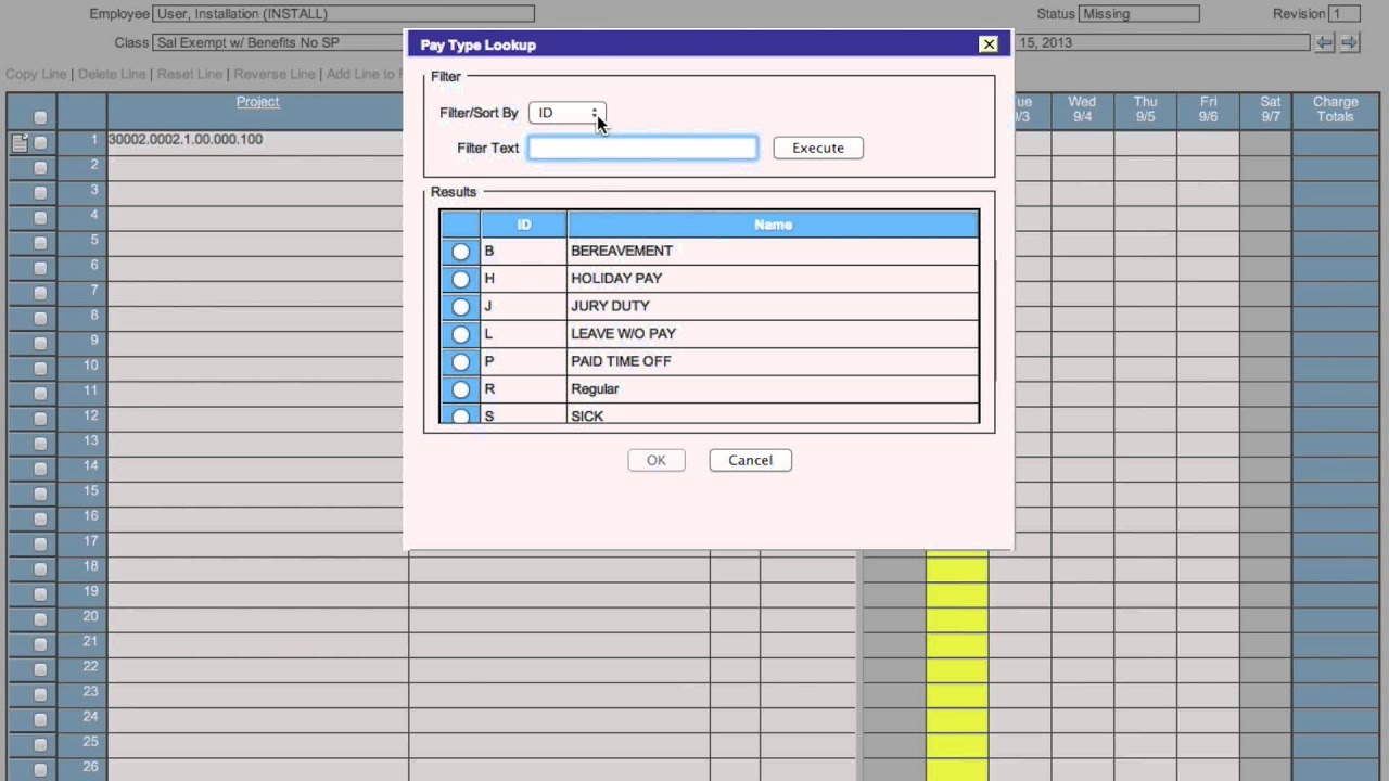 Deltek Time & Expense Training Video: Basics