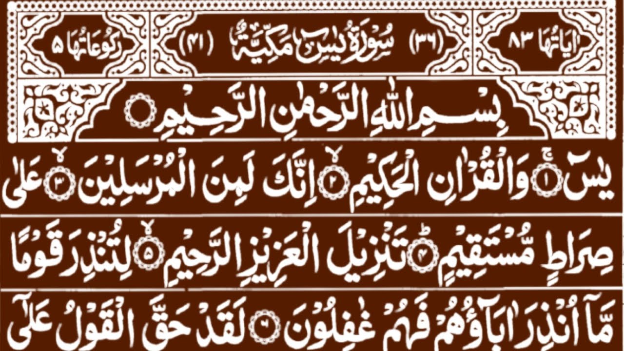 Surah Yaseen Heart Touching Tilawat | Surah Ar-Rahman 💫 quran recitation really beautiful Vol.807