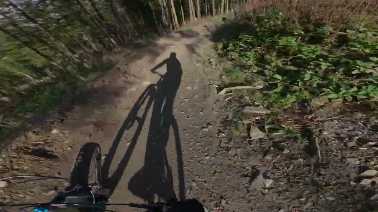 MTB ZONE Willingen