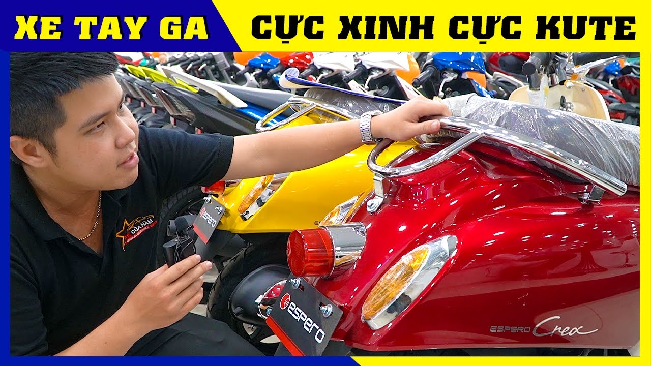 Xe tay ga 