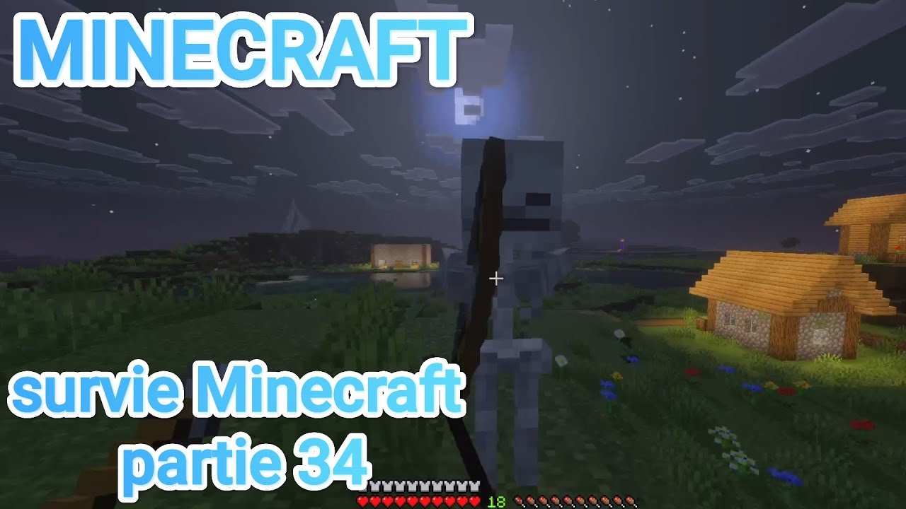 Survie Minecraft Partie 34