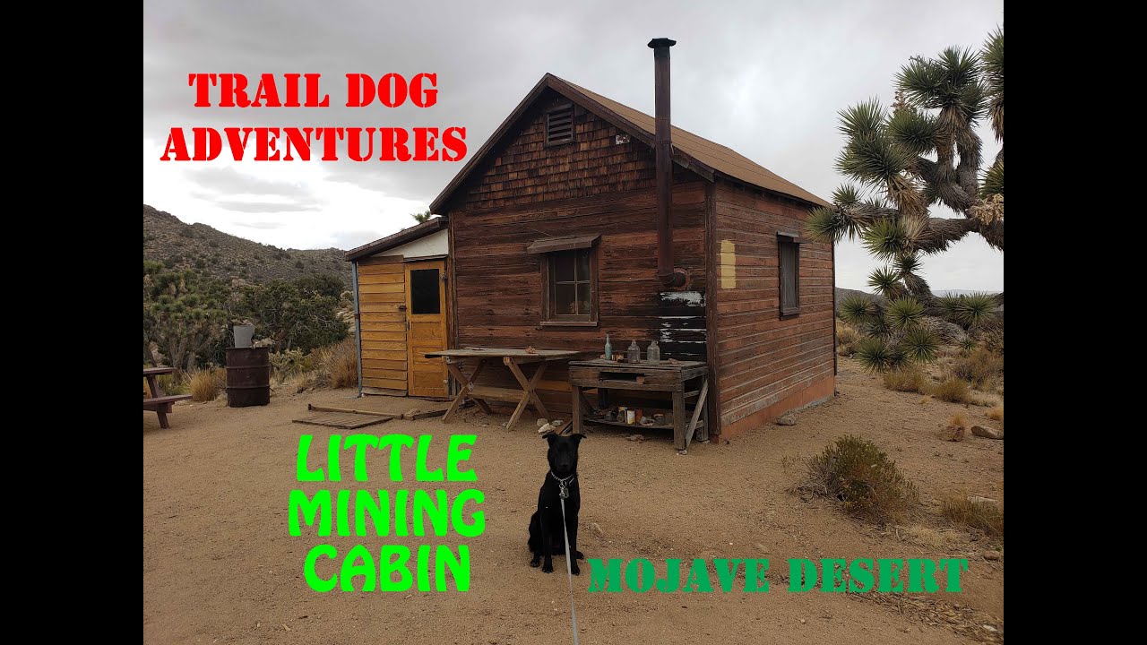 Little Mining Cabin- Mojave Desert