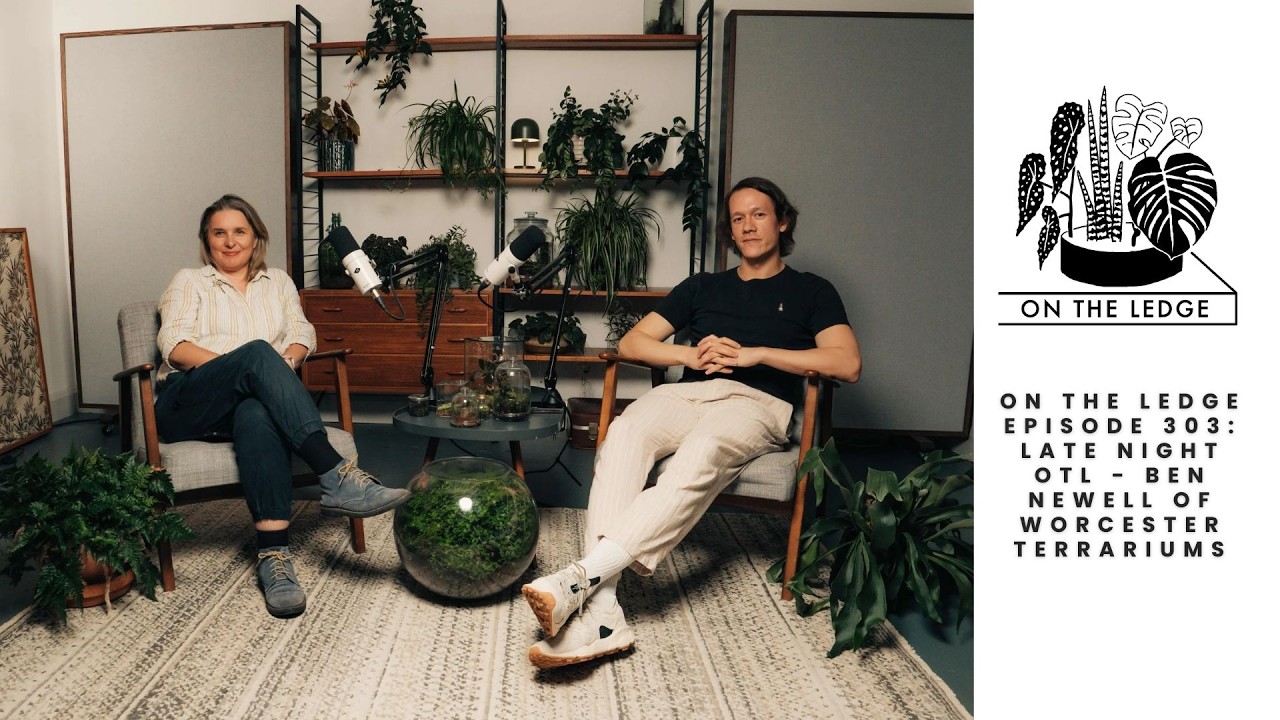 On The Ledge episode 303: Late Night OTL - Worcester Terrariums aka Ben Newell