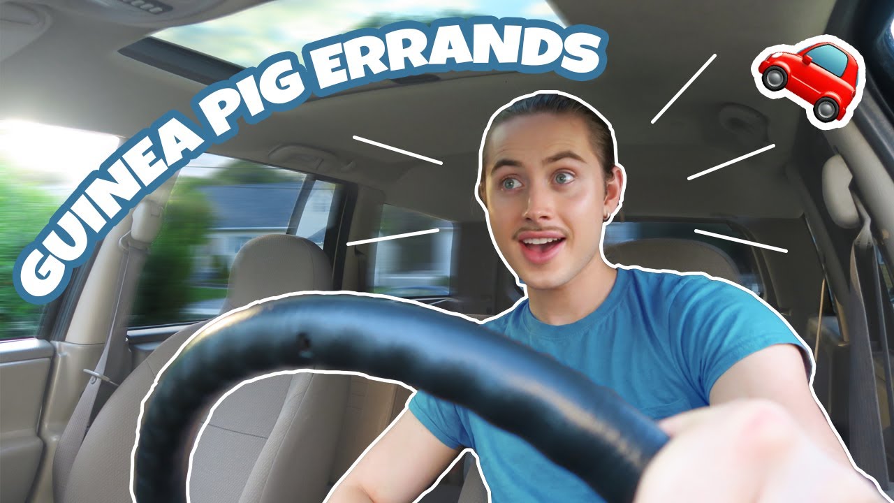 RUN GUINEA PIG ERRANDS WITH ME 🐽 ✨ | VLOG