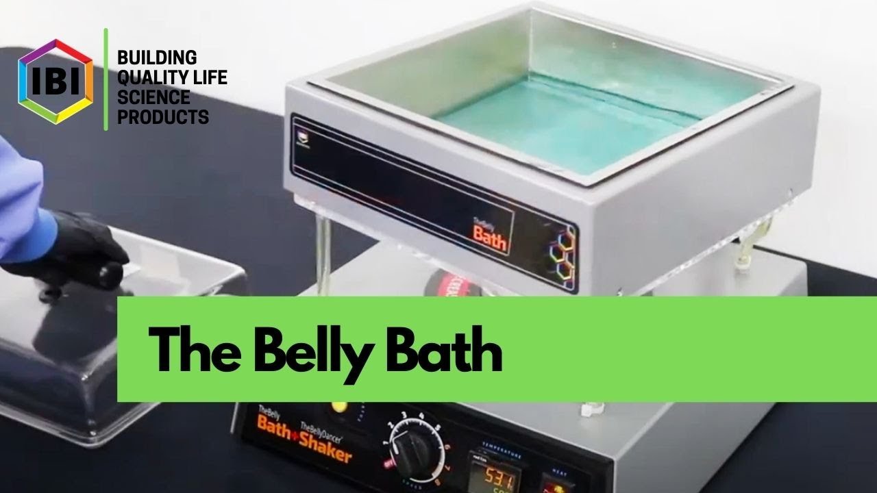 The Belly Bath | Shaking Water Bath | IBI Scientific