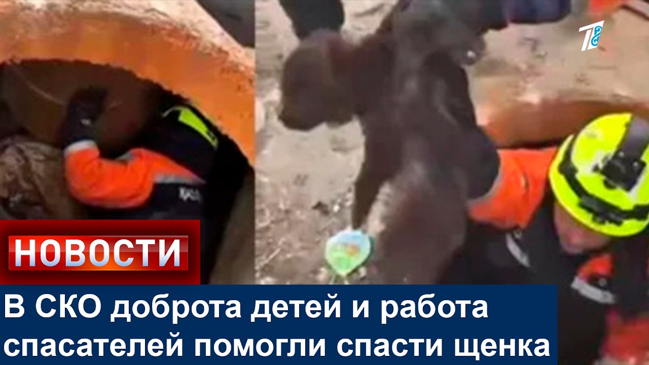 В СКО доброта детей и работа спасателей помогли спасти щенка