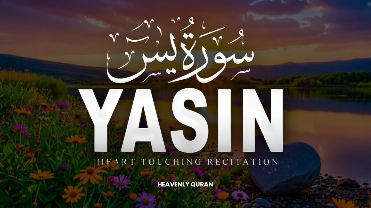 Surah Yaseen (سورة يس) | Calming Quran Recitation for Inner Peace & Sleep | Alaa Aqel #surahyaseen