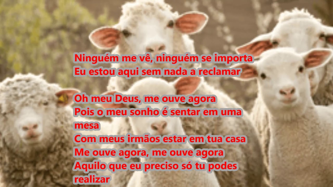 História de Davi - Ton Carfi - PlayBack