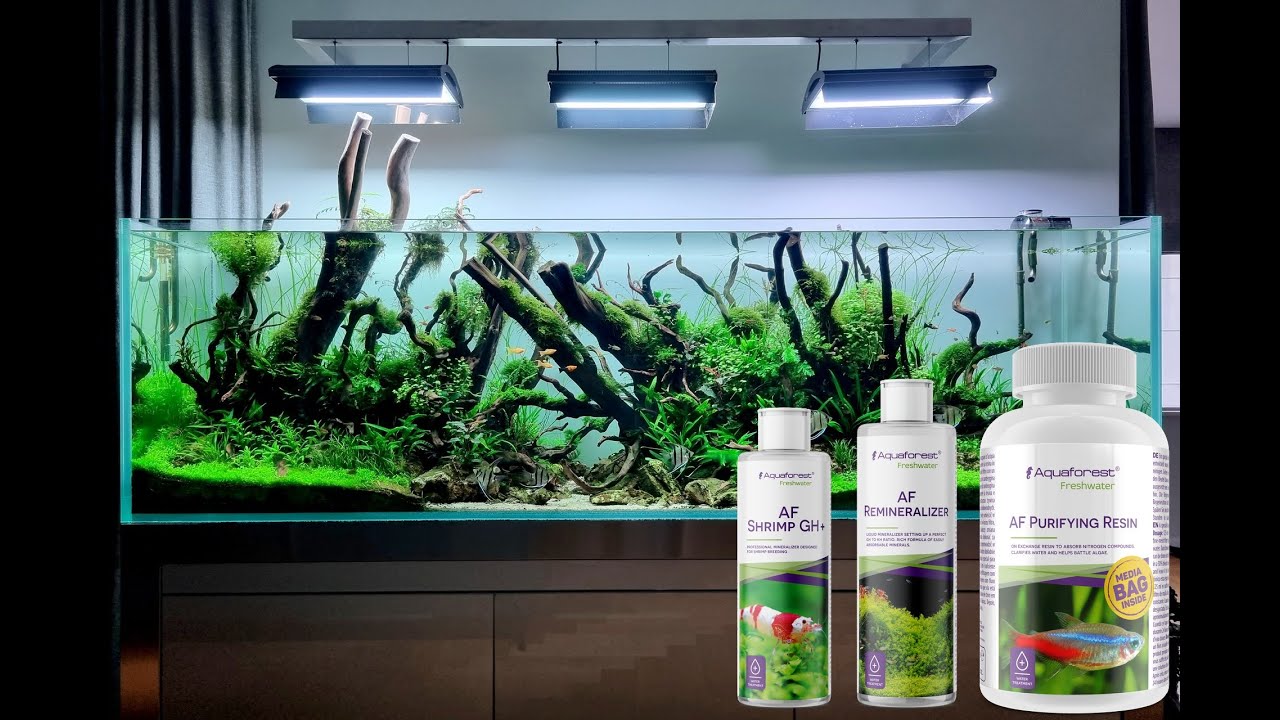 Preparaty na klarowność i mineralizację wody od Aquaforest