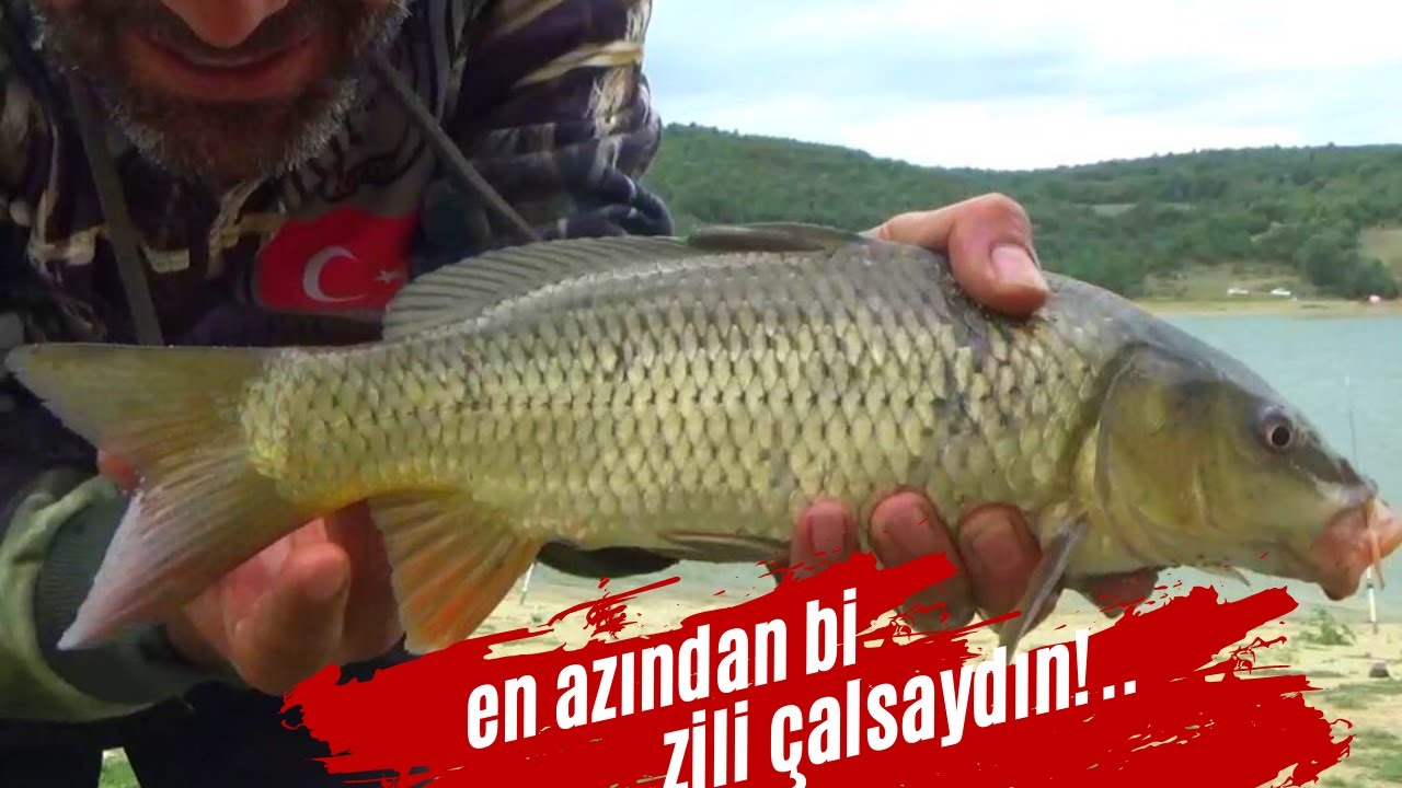 8 GÜN 8 GECE SAZAN KAMPI | 4.BÖLÜM | #Kamp#sazan#balıkavı#sazanavı#camping #fishing