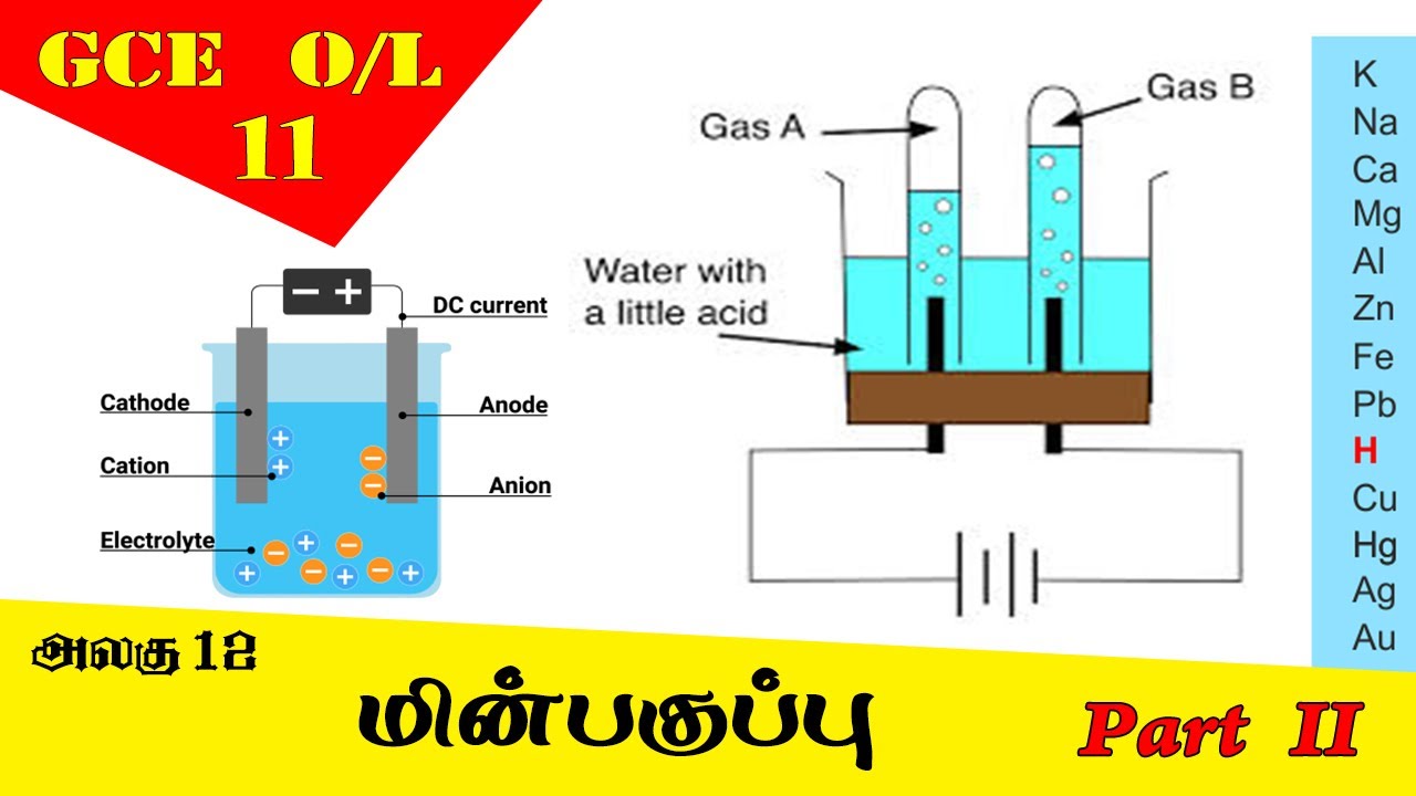 மின்பகுப்பு | Electrolysis - Grade 11 Science | GCE O/L Tamil Medium