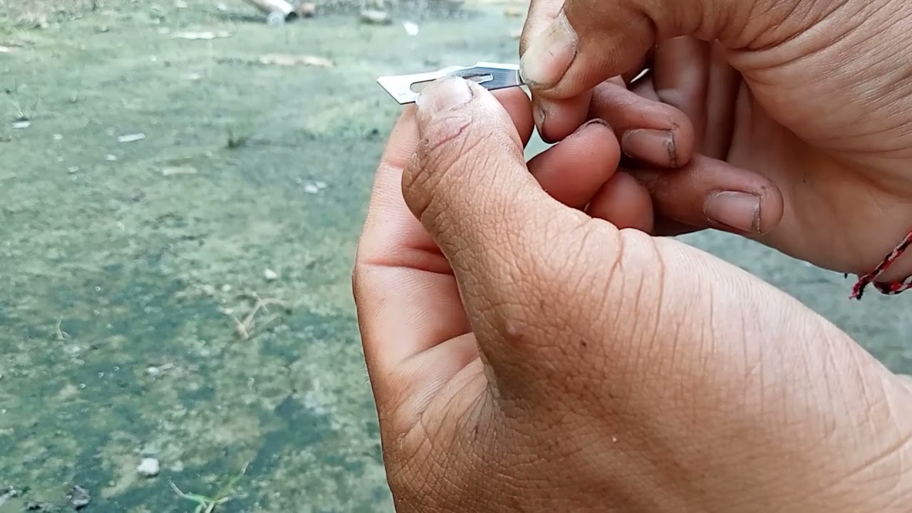 review pisau bedah surgical blades!! untuk sayat bonsai kelapa!!