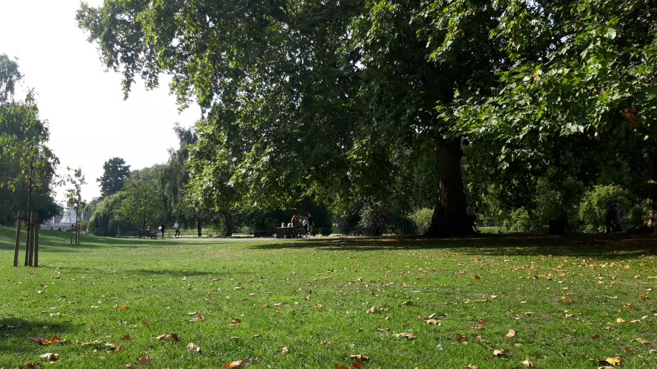 London ASMR - Lunchtime in St James's Park 🌳