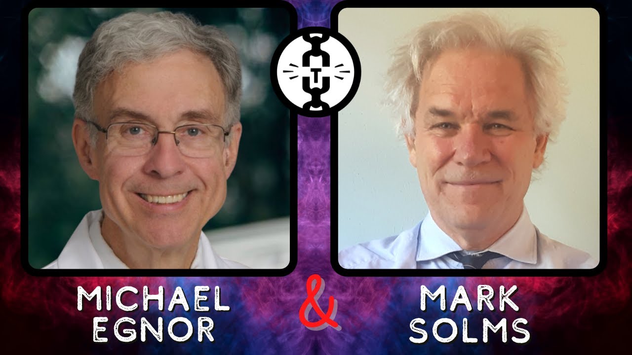 Mark Solms & Michael Egnor Disucuss Materialism and Neuroscience