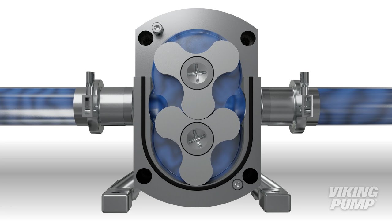 How do rotary lobe pumps work?