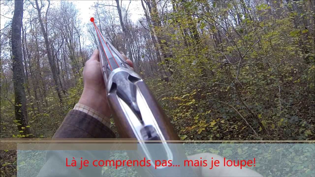 Concours Saint Hubert partie 2 (inter-régional) : chasse du faisan au chien d'arrêt, braque allemand